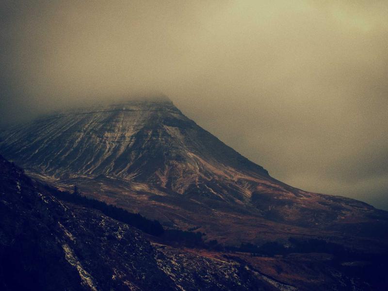 Por qué el rabo de res es el plato más subestimado de la cocina dominicana